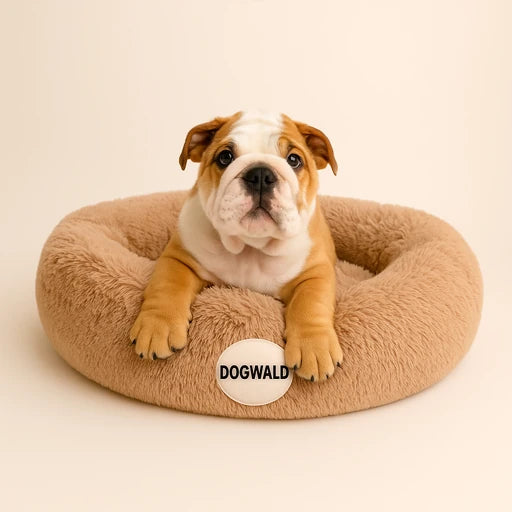 Cama Anti-Estrés Dogwald