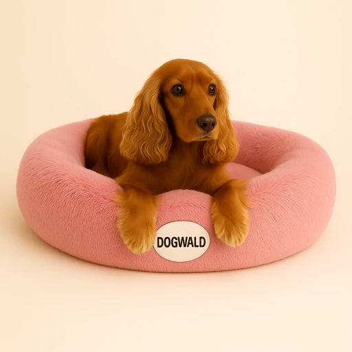 Cama Anti-Estrés Dogwald