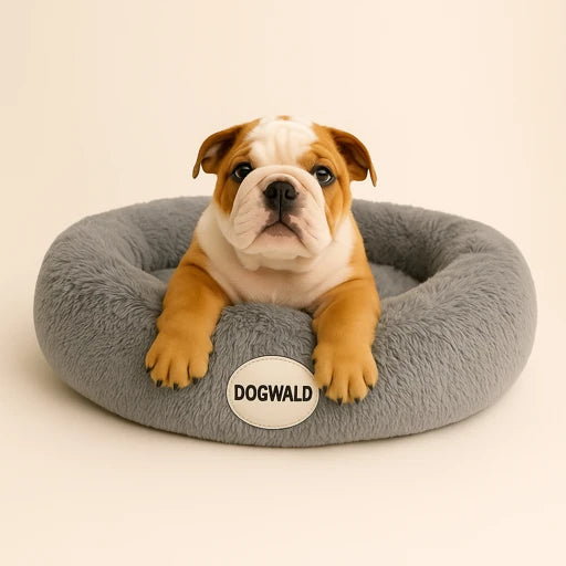Cama Anti-Estrés Dogwald