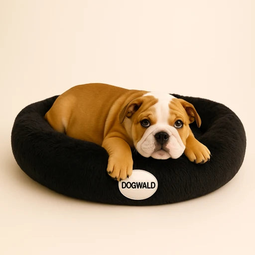 Cama Anti-Estrés Dogwald