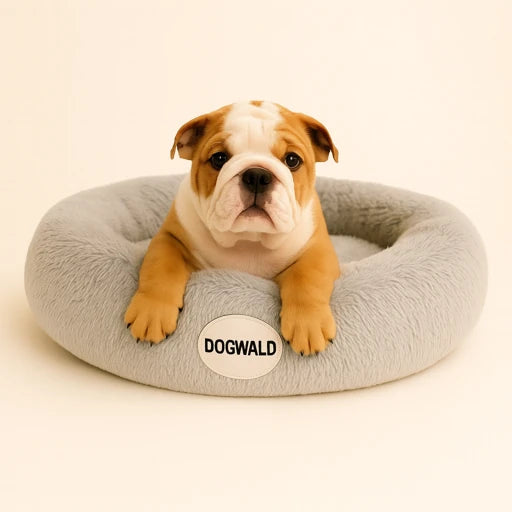 Cama Anti-Estrés Dogwald
