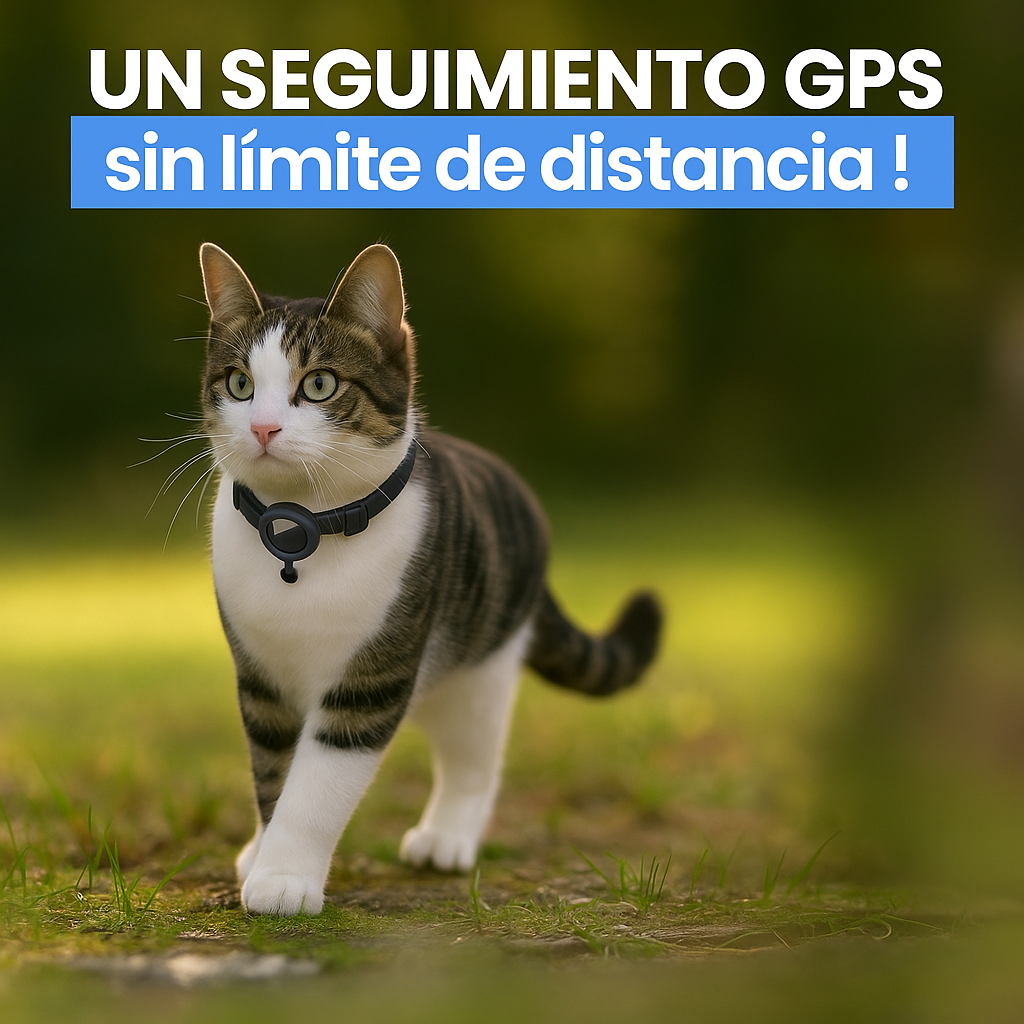 Collar GPS Inteligente para Gatos – Seguridad y tranquilidad en todo momento
