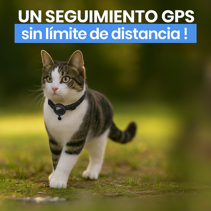 Collar GPS Inteligente para Gatos – Seguridad y tranquilidad en todo momento