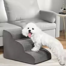 Rampa para perros
